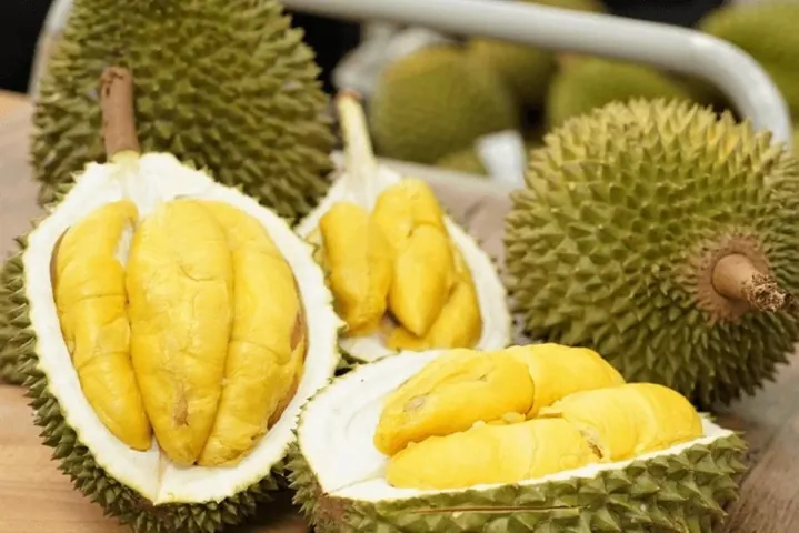 Ăn Sầu Riêng Uống Trà Sữa Có Sao Không? Tác Hại Và Lời Khuyên An Toàn Ăn Sầu Riêng Uống Trà Sữa Có Sao Không? Tác Hại Và Lời Khuyên An Toàn