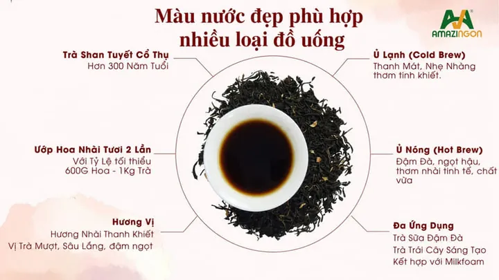 Khám Phá Các Loại Hương Trà Sữa Phổ Biến Và Cách Lựa Chọn Hoàn Hảo