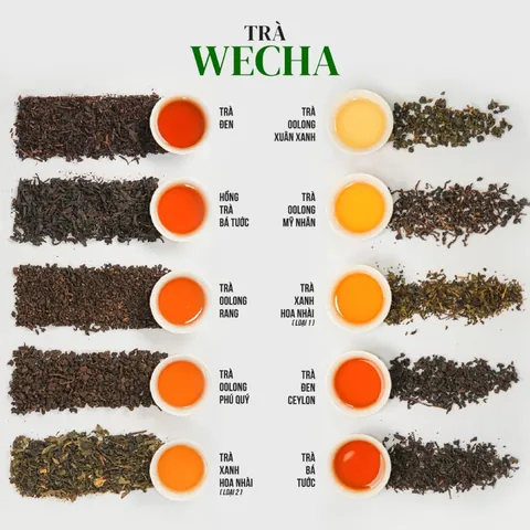 Cách Pha Chế Các Loại Trà Sữa Thơm Ngon Chuẩn Vị Tại Nhà Tổng Hợp Công Thức