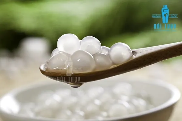 Hạt Ngọc Trai Trà Sữa Là Gì? Các Loại Phổ Biến Và Nơi Mua Uy Tín
