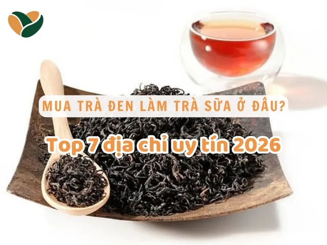 Mua Trà Sữa Ngon Ở Đâu: Top Quán & Bí Quyết Chọn Lựa