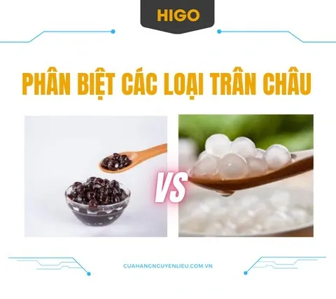 Mua Trân Châu Làm Trà Sữa Ở Đâu Tốt Nhất: Địa Chỉ, Loại, Giá Cả