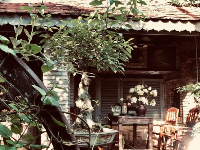 Top Quán Trà Sữa View Đẹp Tây Ninh: Địa Điểm Check-in Sống Ảo & Thưởng Thức