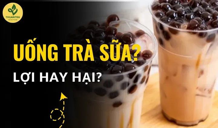 Tác Hại Của Trà Sữa: Lợi Bất Cập Hại Đối Với Sức Khỏe Như Thế Nào?