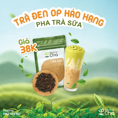 Trà Đen Nào Pha Trà Sữa Ngon Nhất: Top Lựa Chọn Cho Hương Vị Chuẩn Đài Loan