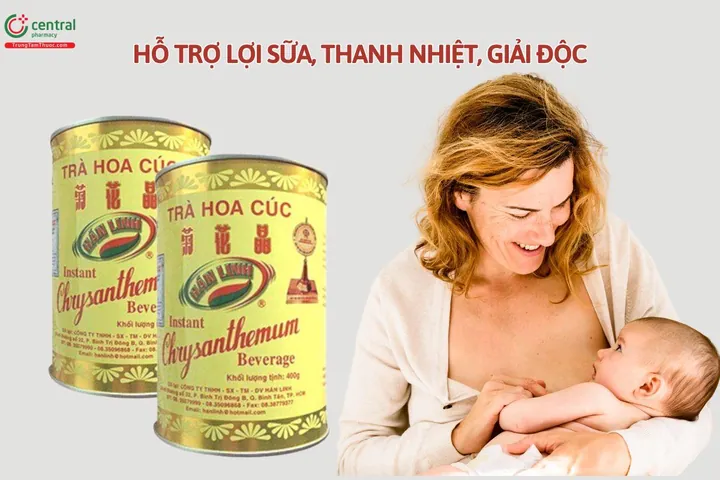Trà Hoa Cúc Hán Linh: Công Dụng Lợi Sữa, Thanh Nhiệt Và Giải Độc Cho Mẹ Sau Sinh