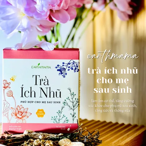 Trà Ích Sữa: Lợi Sữa, Phục Hồi Sức Khỏe Mẹ Sau Sinh - Nên Chọn Loại Nào?