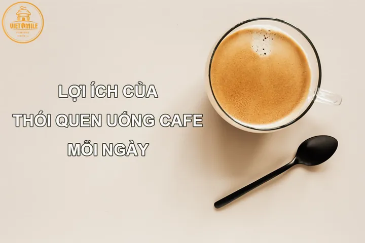 Trà Ích Sữa Có Tốt Không? Công Dụng, Thành Phần Và Lưu Ý Sử Dụng Cho Mẹ Bỉm Trà Ích Sữa Có Tốt Không? Công Dụng, Thành Phần Và Lưu Ý Sử Dụng Cho Mẹ Bỉm