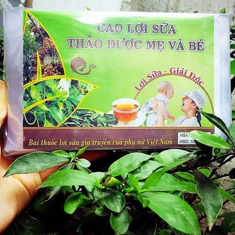 Trà Lợi Sữa Mế Hà: Bài Thuốc Gia Truyền Dân Tộc Mường Tăng Sữa Cho Mẹ