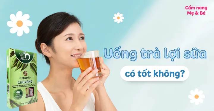 Trà Lợi Sữa Mộc An Có Tốt Không? Thành Phần, Công Dụng Và Lưu Ý Khi Sử Dụng