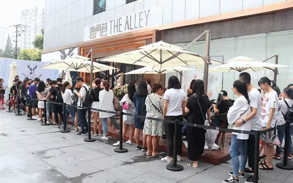 The Alley: Danh Sách Chi Nhánh, Địa Chỉ Và Thông Tin Mới Nhất
