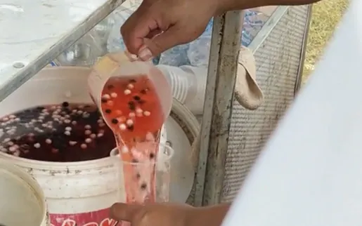 Trà Sữa Bẩn: Sự Thật Rùng Mình Và Cách Nhận Biết Nguyên Liệu Kém Chất Lượng Trà Sữa Bẩn: Sự Thật Rùng Mình Và Cách Nhận Biết Nguyên Liệu Kém Chất Lượng