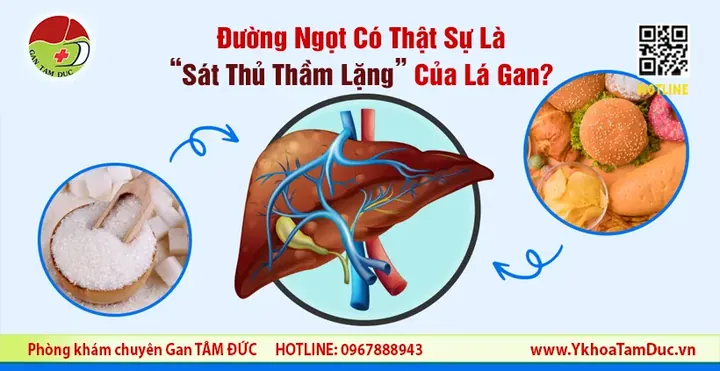 Trà Sữa Có Hại Không? Giải Đáp Chi Tiết Tác Hại Và Cách Uống An Toàn