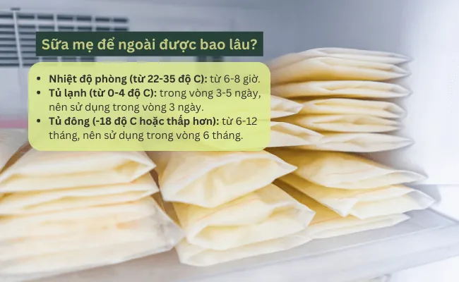 Trà Sữa Để Ngoài Được Bao Lâu? Hướng Dẫn Bảo Quản An Toàn Và Lưu Ý Trà Sữa Để Ngoài Được Bao Lâu? Hướng Dẫn Bảo Quản An Toàn Và Lưu Ý
