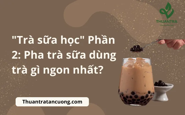 Trà Sữa Gì Ngon Nhất: Khám Phá Các Hương Vị Được Yêu Thích & Cách Chọn Tốt Nhất Trà Sữa Gì Ngon Nhất: Khám Phá Các Hương Vị Được Yêu Thích & Cách Chọn Tốt Nhất