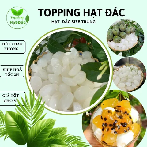 Hướng Dẫn Chi Tiết Cách Làm Trà Sữa Hạt Đác Ngon Chuẩn Vị Quán Hướng Dẫn Chi Tiết Cách Làm Trà Sữa Hạt Đác Ngon Chuẩn Vị Quán