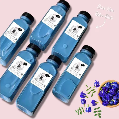 Hướng Dẫn Cách Làm Trà Sữa Hoa Đậu Biếc Chai Đẹp Mắt Tại Nhà Chuẩn Vị