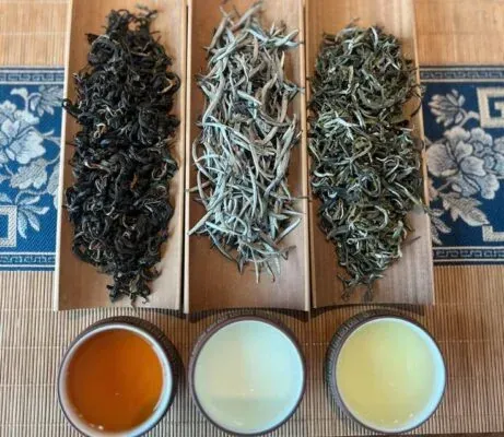 Top Các Loại Trà Sữa Hot Nhất Hiện Nay: Xu Hướng & Công Thức Tự Làm