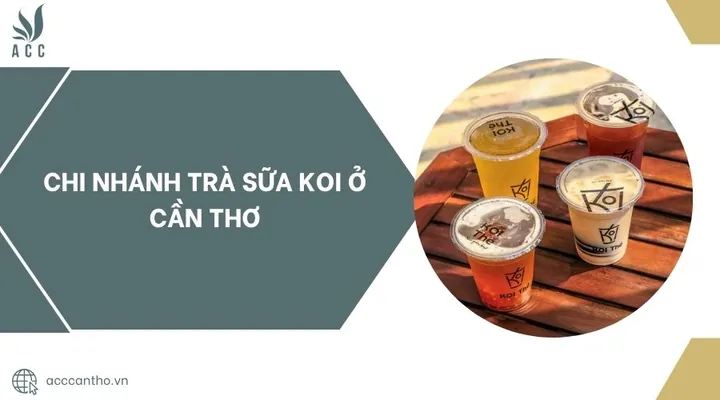 Trà Sữa Koi Cần Thơ: Địa Chỉ, Menu Và Ưu Đãi Mới Nhất Trà Sữa Koi Cần Thơ: Địa Chỉ, Menu Và Ưu Đãi Mới Nhất