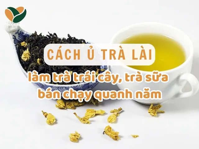 Cách Pha Trà Sữa Thiết Quan Âm Ngon Chuẩn Vị Đài Loan Tại Nhà Cách Pha Trà Sữa Thiết Quan Âm Ngon Chuẩn Vị Đài Loan Tại Nhà