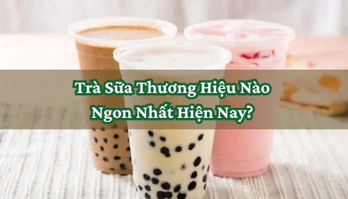 Top 10+ Vị Trà Sữa Ngon Nhất & Thương Hiệu Nổi Tiếng Được Yêu Thích Hiện Nay Top 10+ Vị Trà Sữa Ngon Nhất & Thương Hiệu Nổi Tiếng Được Yêu Thích Hiện Nay