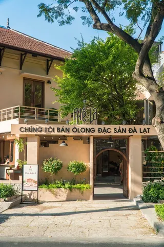 Trà Sữa Phê La Quận 1: Địa Chỉ Cửa Hàng & Review Chi Tiết