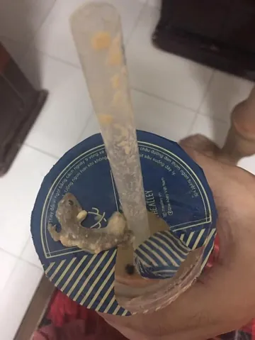 Vụ Thạch Sùng Trong Trà Sữa: Lời Tố Cáo, Lên Tiếng Của Thương Hiệu Và Sự Thật Đằng Sau
