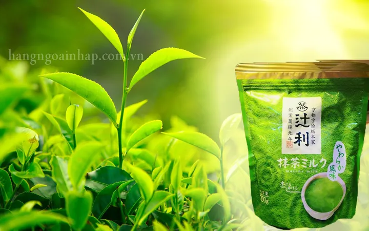 Trà Sữa Trà Xanh Nhật Bản: Công Thức Pha Chế, Lợi Ích & Cách Chọn Matcha Chuẩn Vị