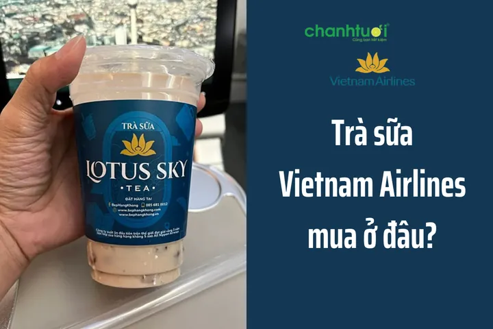 Trà Sữa Vietnam Airlines: Trải Nghiệm Hương Vị Trên Cao & Cách Thưởng Thức