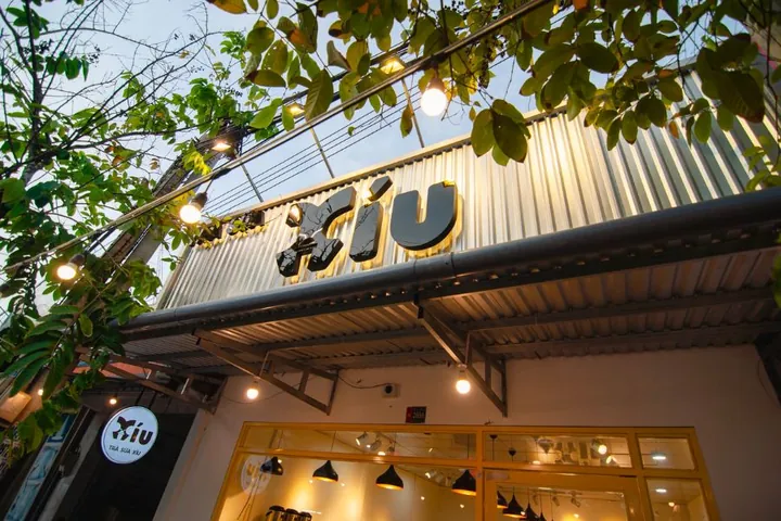 Trà Sữa Xíu Bến Tre: Địa Chỉ, Menu, Đánh Giá Và Các Chi Nhánh Nổi Bật